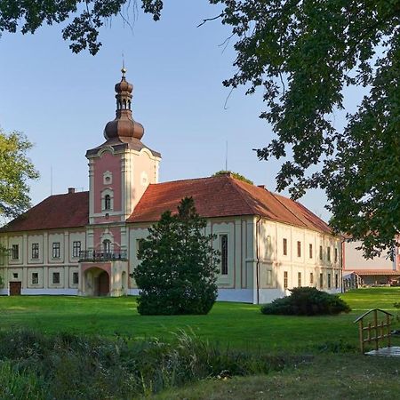 Penzion Zamek Lesany Netvorice Экстерьер фото