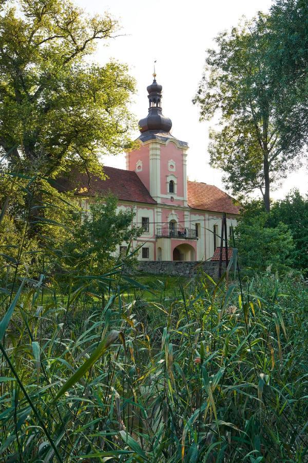 Penzion Zamek Lesany Netvorice Экстерьер фото